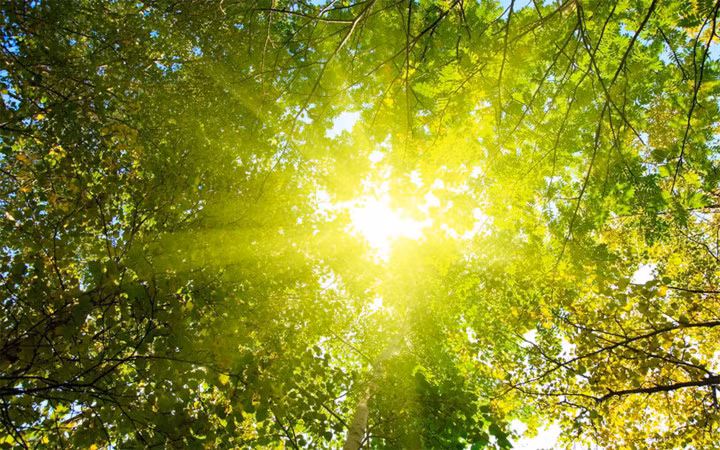 15 dieu can nho de song khong phai hoi tiec