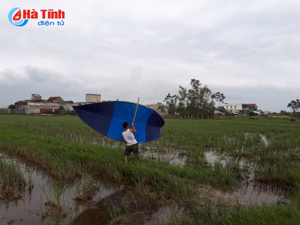 video noi duy nhat ha tinh nguoi dan tha dieu sao quanh nam
