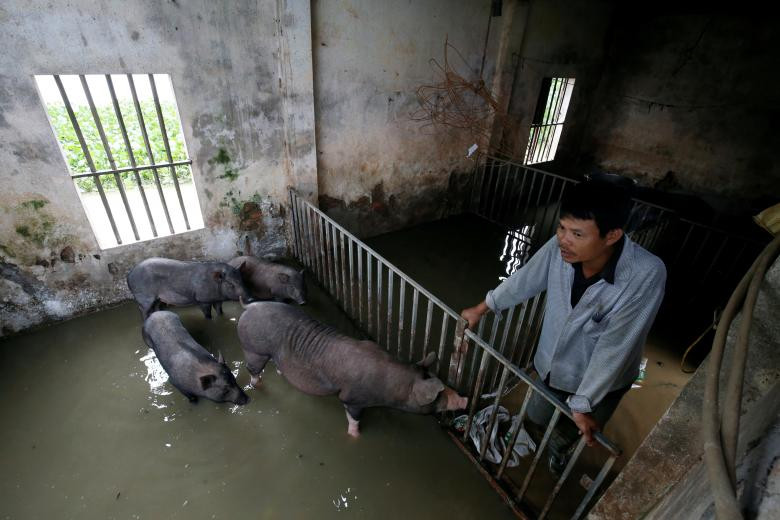 photo mua lu o viet nam qua ong kinh nhiep anh gia reuters