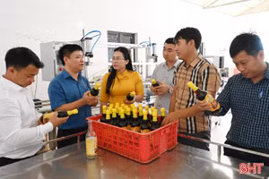 Tiền đề khai thác nhãn hiệu “Nước mắm Kỳ Ninh” trên thị trường quốc tế