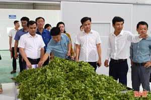 Khi nông sản địa phương được "nâng hạng" bằng công nghệ