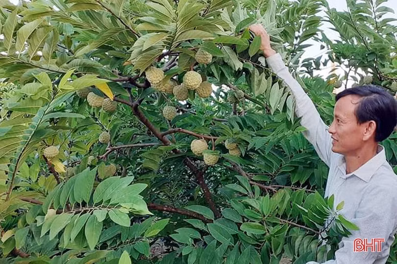 Lộc Hà chú trọng phát triển sản xuất vùng ven chân núi Hồng Lĩnh