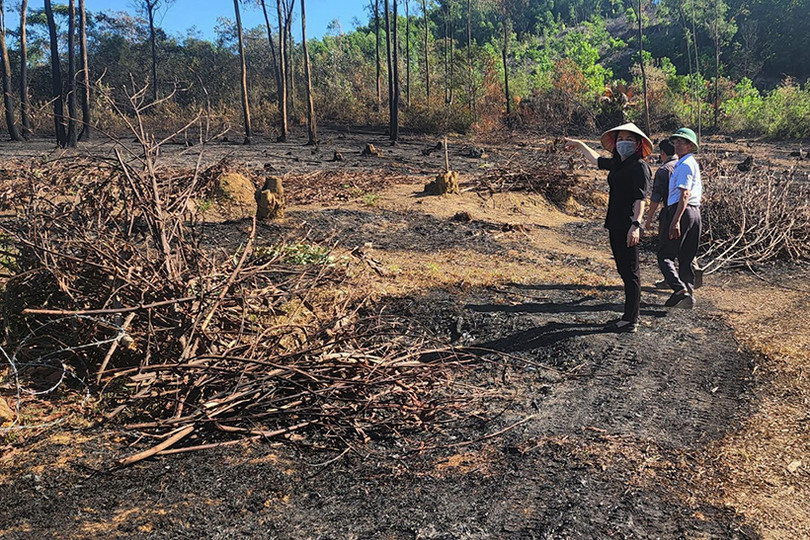 Người đàn ông tử vong trong vườn keo ở Đức Thọ