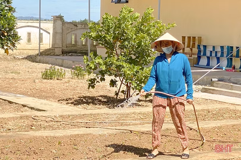 Tất bật chăm vườn rau bán trú ở các trường mầm non