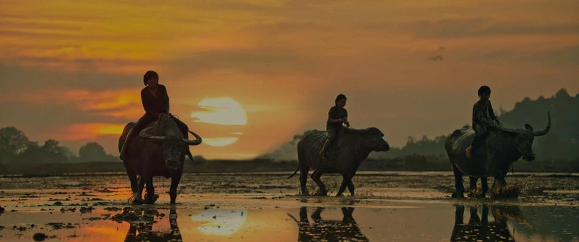 Teaser “Đất rừng phương Nam” hé lộ tình bạn của An và Út Lục Lâm