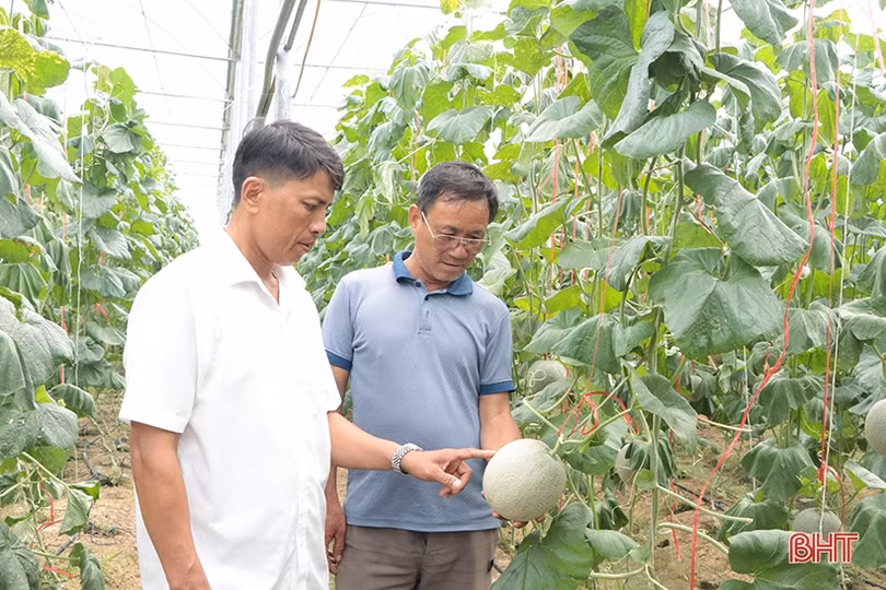 TP Hà Tĩnh quyết tâm đẩy nhanh tiến độ xây dựng NTM, đô thị văn minh