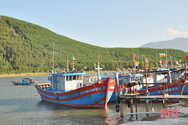 Hà Tĩnh: Giá trị khai thác hải sản vụ cá Nam ước đạt trên 1.000 tỷ đồng