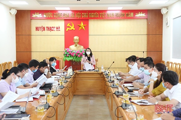 Thạch Hà cần quan tâm, tham mưu tháo gỡ vướng mắc các dự án chậm triển khai