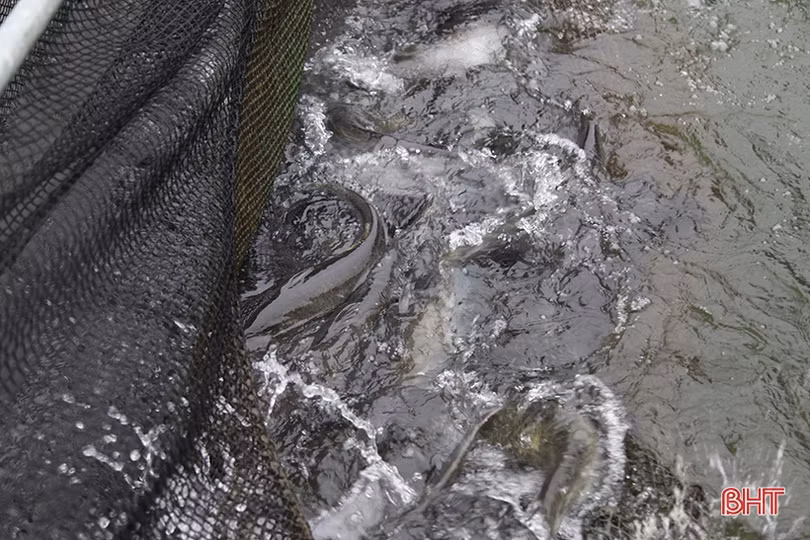 Sớm khắc phục các điểm sạt lở do mưa lớn ở Vũ Quang