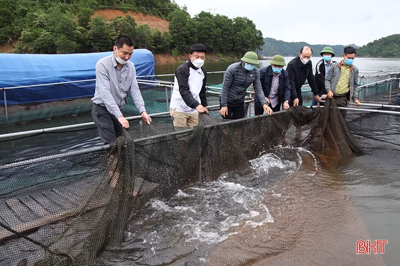 Sớm khắc phục các điểm sạt lở do mưa lớn ở Vũ Quang