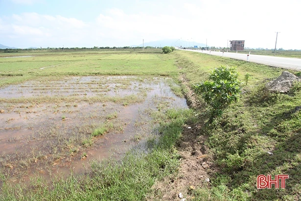 Thạch Hà cần quan tâm, tham mưu tháo gỡ vướng mắc các dự án chậm triển khai