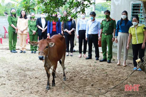 Trao bò sinh sản hỗ trợ phụ nữ khó khăn ở Nghi Xuân