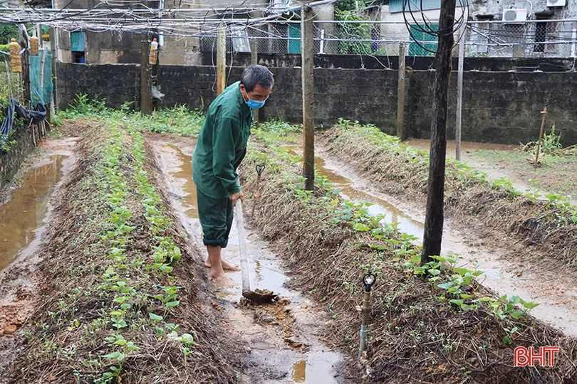 Khắc phục thiệt hại, hỗ trợ người dân Hà Tĩnh sản xuất vụ đông sau mưa lớn