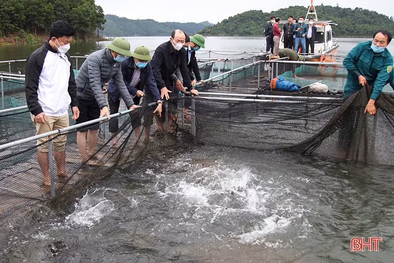 Sớm khắc phục các điểm sạt lở do mưa lớn ở Vũ Quang