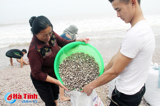 nguoi dan ven bien thach ha do xo di vot loc troi