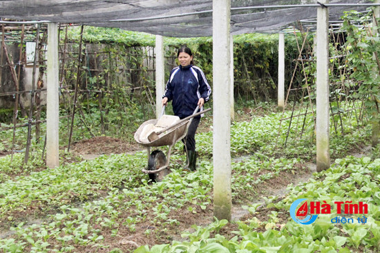 suc manh long dan trong xay dung khu dan cu kieu mau o nghi xuan