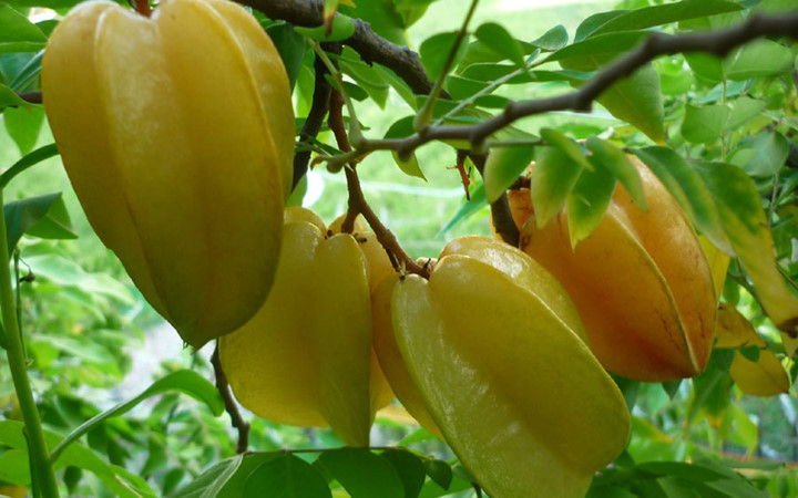 nguoi bi viem xoang nen an uong nhu the nao