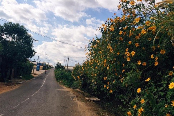Khám phá Đà Lạt qua những cung đường đèo hùng vĩ ảnh 3 kham pha da lat qua nhung cung duong deo hung vi