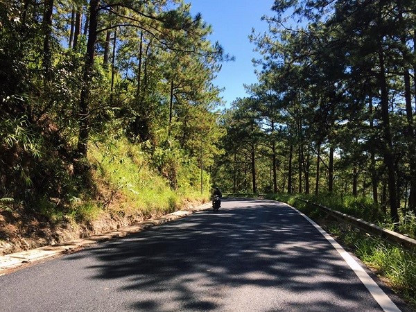 Khám phá Đà Lạt qua những cung đường đèo hùng vĩ ảnh 1 kham pha da lat qua nhung cung duong deo hung vi