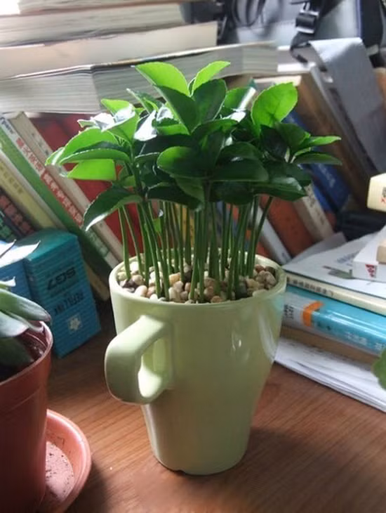 10 moi nguy tiem an trong nha