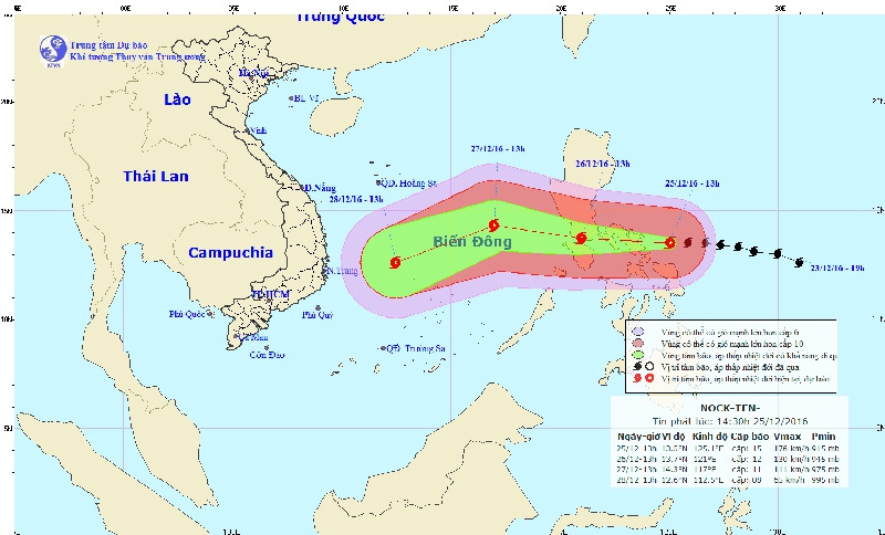 chu dong doi pho voi bao nock ten va gio mua dong bac