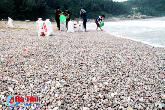 nguoi dan ven bien thach ha do xo di vot loc troi