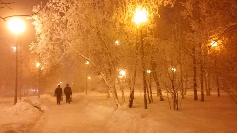 rau toc dong bang trong cai lanh 62 do c o nga