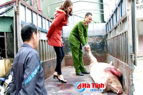 mua lon chet ve ban thi bi bat