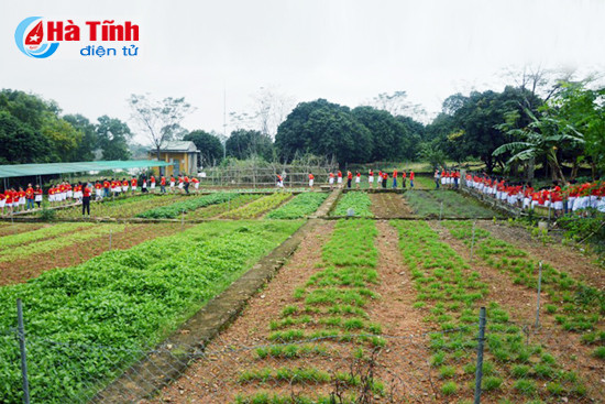 chau thich lam chu bo doi