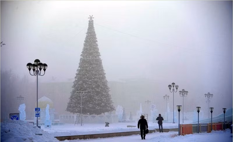 rau toc dong bang trong cai lanh 62 do c o nga