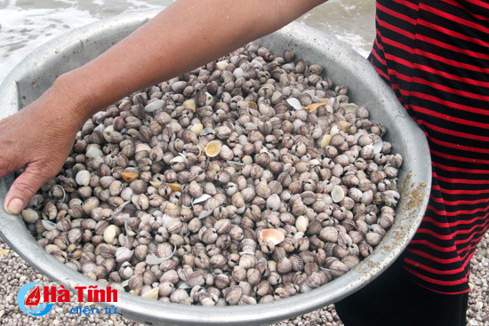 nguoi dan ven bien thach ha do xo di vot loc troi