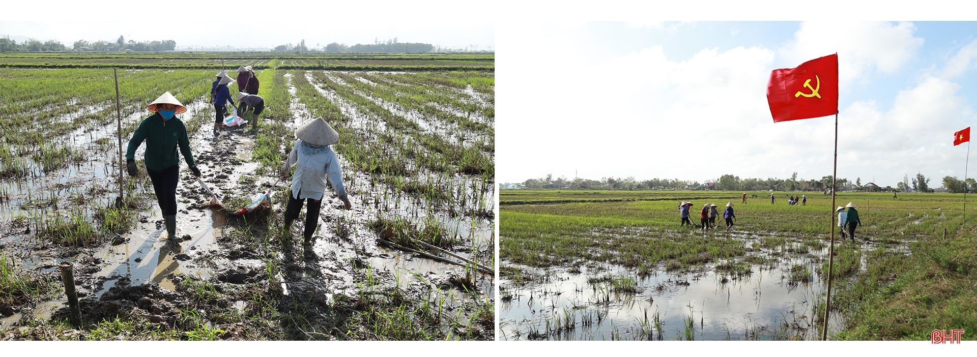 Phá bờ thửa nhỏ hình thành ô thửa lớn - cuộc cách mạng trong nông nghiệp Hà Tĩnh (bài 1): Từ những chủ trương, chính sách đúng, hợp lòng dân