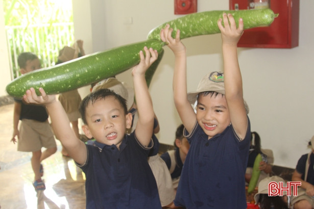 Những “nông dân” tí hon trên vườn rau xanh Trường Mầm non Trung Kiên