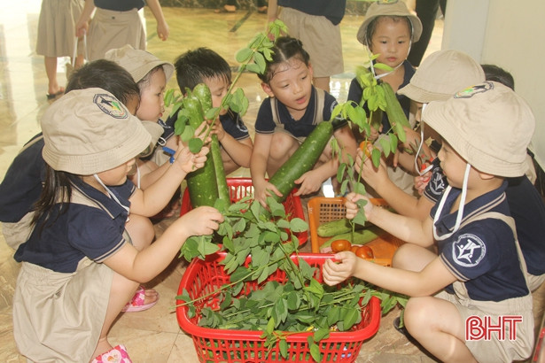 Những “nông dân” tí hon trên vườn rau xanh Trường Mầm non Trung Kiên
