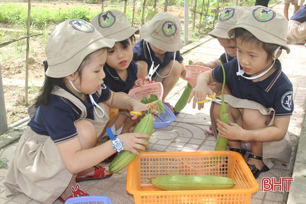 Những “nông dân” tí hon trên vườn rau xanh Trường Mầm non Trung Kiên