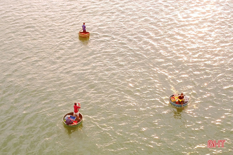 “Kỹ nghệ” chèo thuyền thúng của ngư dân Hà Tĩnh