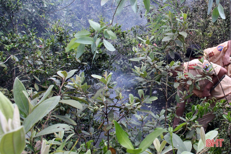 Kịp thời khống chế đám cháy trên núi Hồng Lĩnh giữa cao điểm nắng nóng