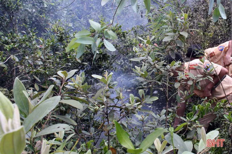 Kịp thời khống chế đám cháy trên núi Hồng Lĩnh giữa cao điểm nắng nóng