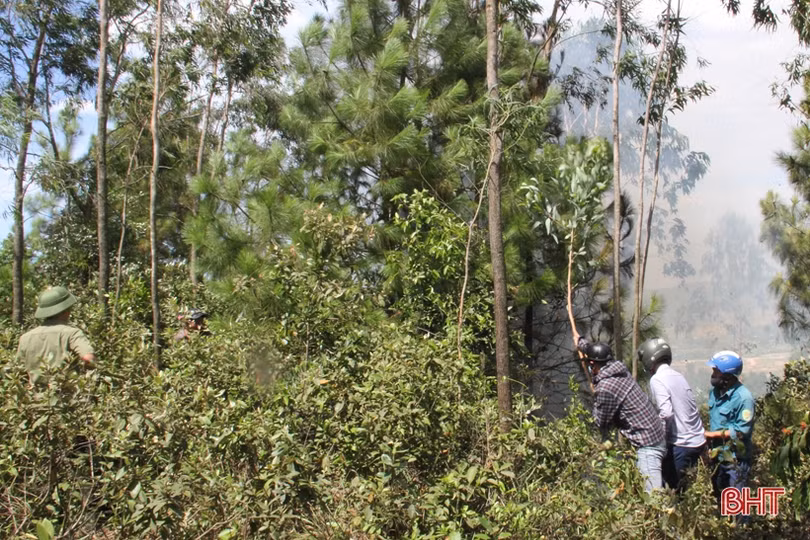 Kịp thời khống chế đám cháy trên núi Hồng Lĩnh giữa cao điểm nắng nóng