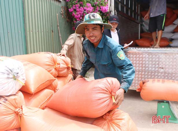 Lúa VietGAP Hà Tĩnh xuất ngoại