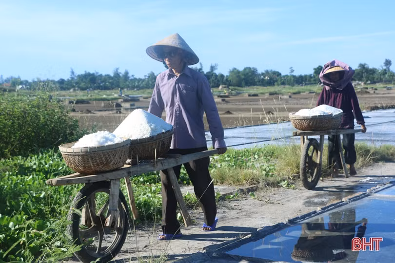 Những người “đón nắng” trên đồng muối Hà Tĩnh