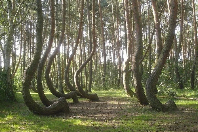 Kiến trúc độc đáo của 10 khách sạn đẹp nhất thế giới 