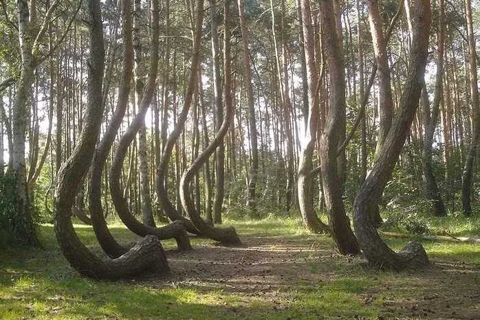 Kiến trúc độc đáo của 10 khách sạn đẹp nhất thế giới 