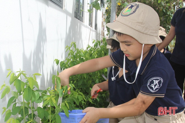 Những “nông dân” tí hon trên vườn rau xanh Trường Mầm non Trung Kiên