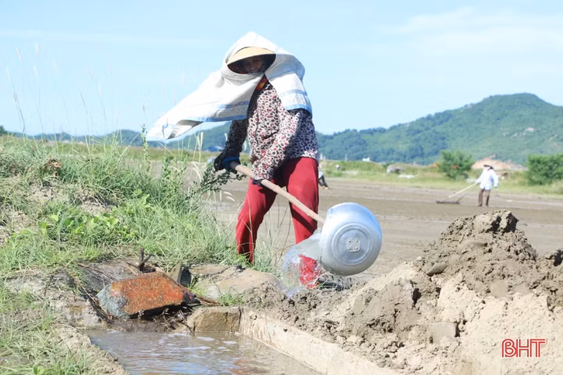 Những người “đón nắng” trên đồng muối Hà Tĩnh