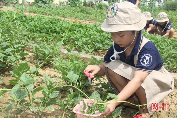 Những “nông dân” tí hon trên vườn rau xanh Trường Mầm non Trung Kiên