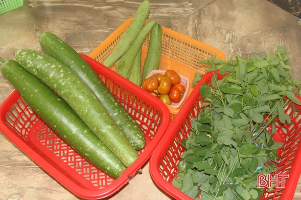 Những “nông dân” tí hon trên vườn rau xanh Trường Mầm non Trung Kiên