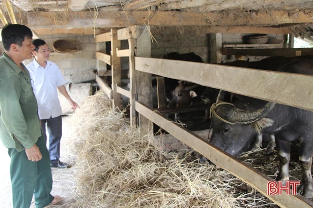 Xã miền núi Hà Tĩnh có hàng trăm “triệu phú” nhờ xóa vườn tạp, khai phá đồi hoang