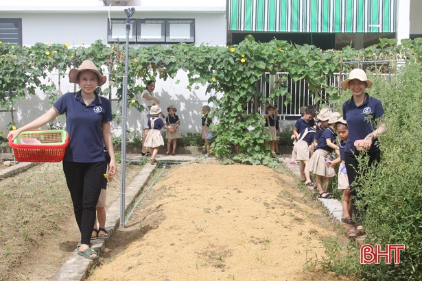 Những “nông dân” tí hon trên vườn rau xanh Trường Mầm non Trung Kiên