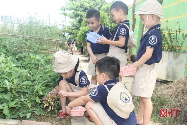 Những “nông dân” tí hon trên vườn rau xanh Trường Mầm non Trung Kiên